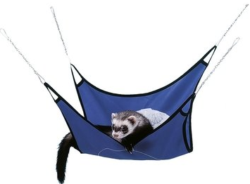 FERRET HAMMOCK Petsland.cy