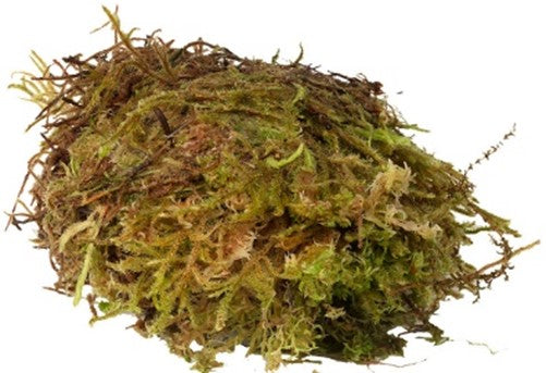 HabiStat Sphagnum Moss