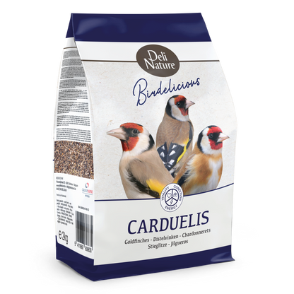 97-BIRDLICIOUS CARDUELIS