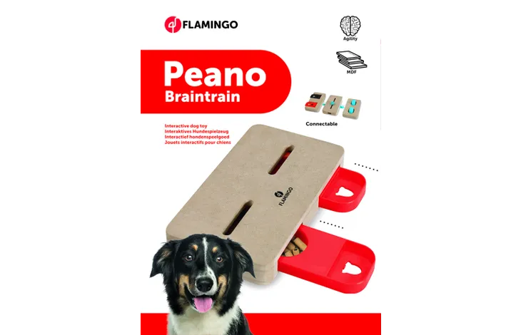 TOY BRAIN TRAIN PEANO