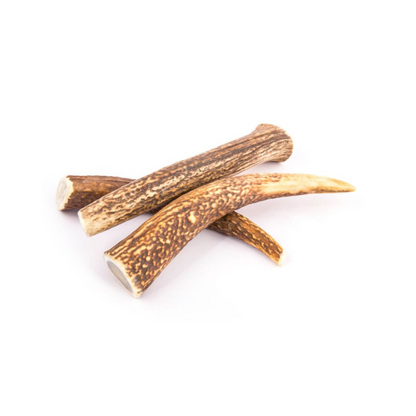 RED DEER ANTLER DOG CHEWS