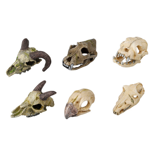 SKULLMINI ASSORTED 7-10CM