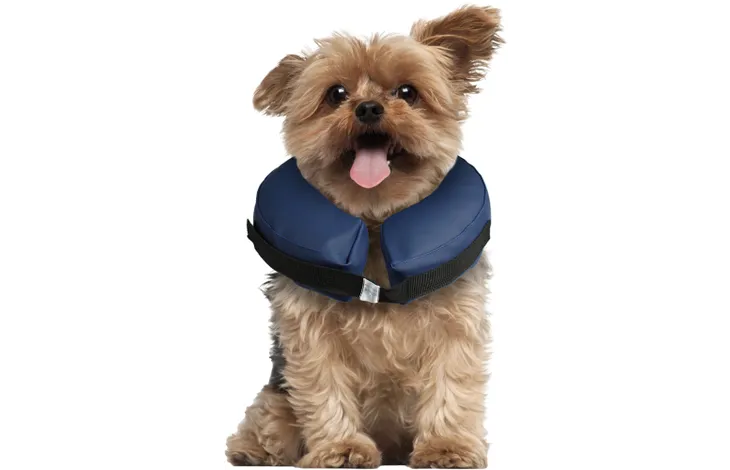 INFLATABLE COLLAR FOR DOGS