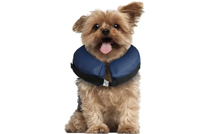 INFLATABLE COLLAR FOR DOGS