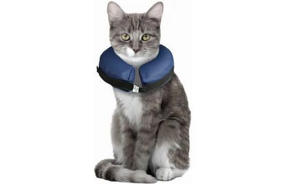 INFLATABLE COLLAR FOR DOGS