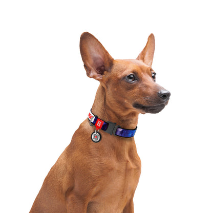 WAUDOG NYLON DOG COLLAR WITH QR-PASSPORT NASA21 DESIGN METAL FASTEX