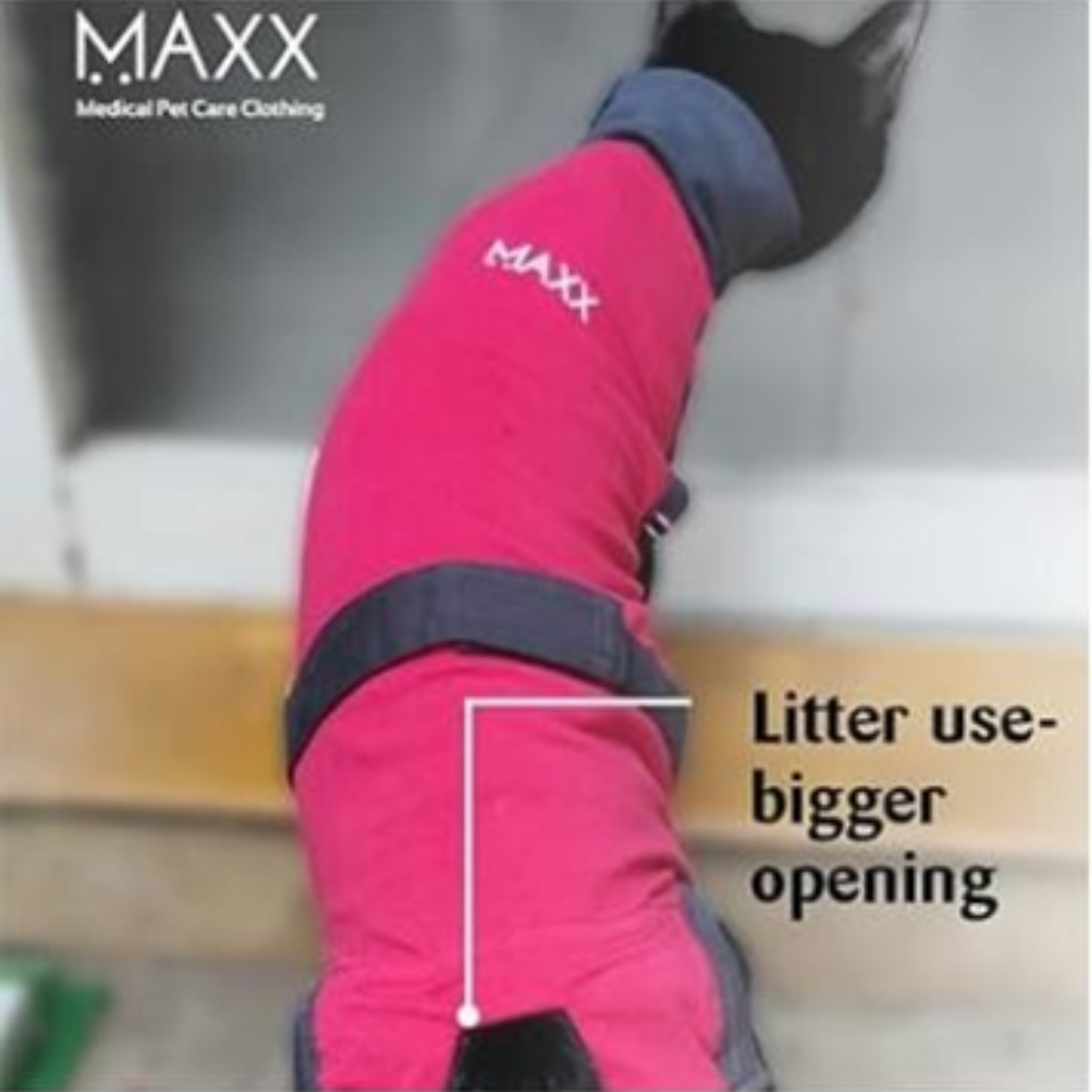 MAXX CAT RECOVERY PET SUIT