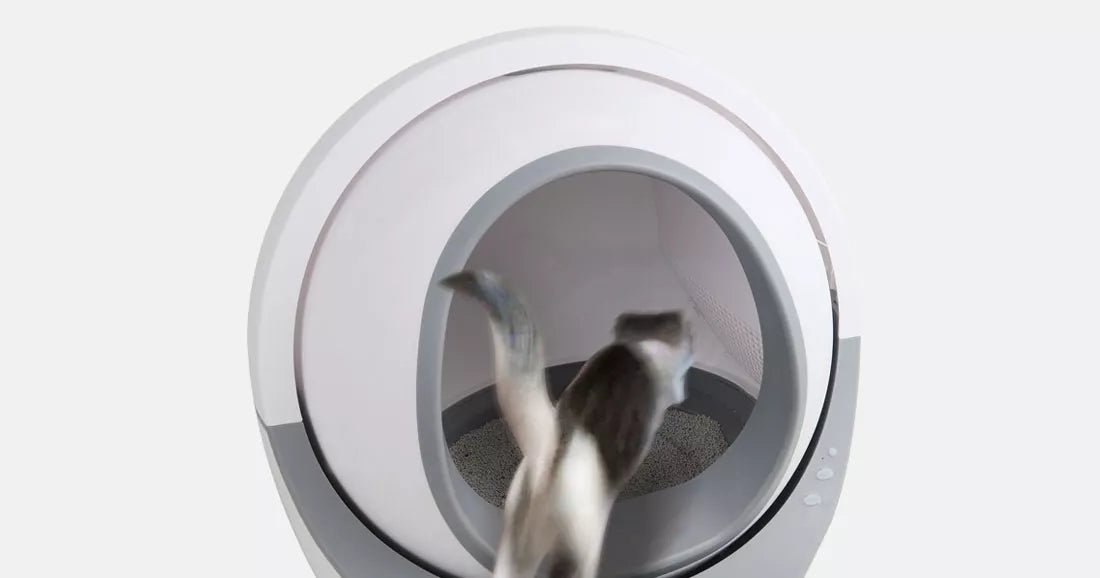 AUTOMATIC LITTER BOX