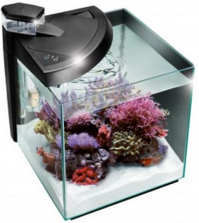 NEWA AQUARIUM