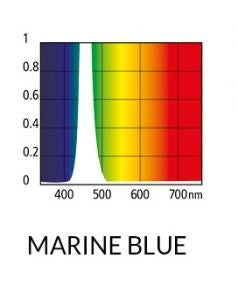 MARINE WHITE LED 13000K