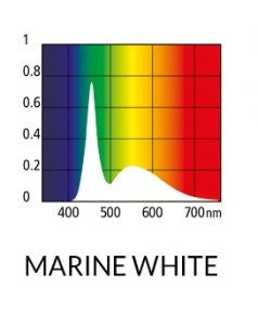 MARINE WHITE LED 13000K