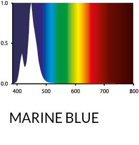 MARINE BLUE T5 LED 25000K