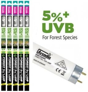FOREST LAMP T8  5% UVB