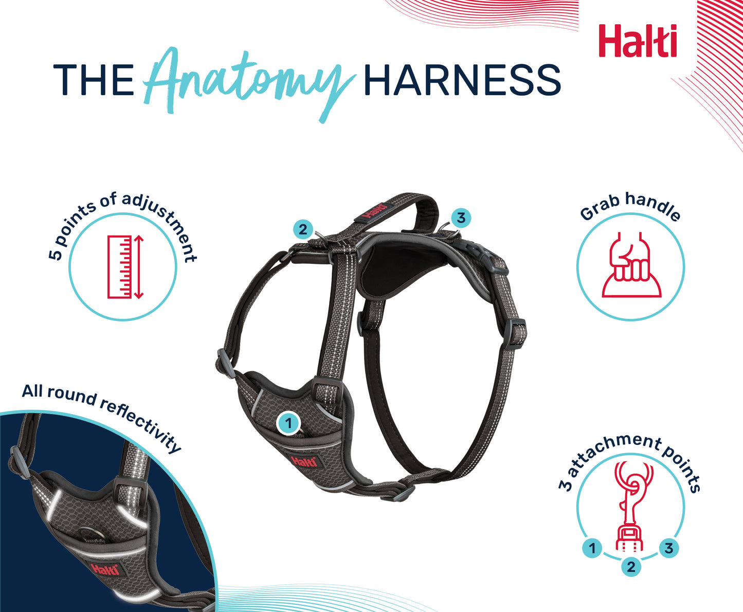 HALTI ANATOMY HARNESS