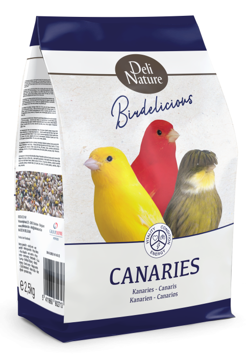 BIRDELICICIOUS CANARY