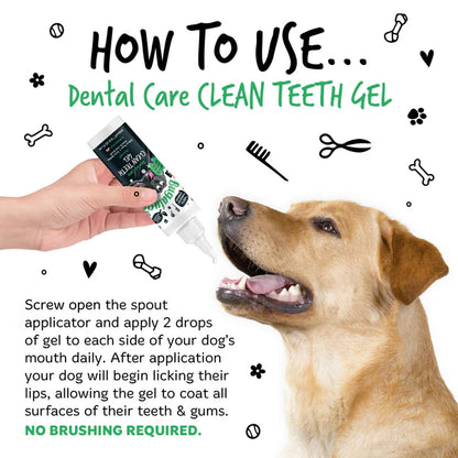 DENTAL CARE CLEAN TEETH GEL WITH FRESH MINT FOR DOGS & CATS