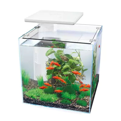 FASHION HOME AQUARIUM LED