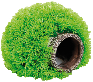 MOSSBALL WITH CAVE