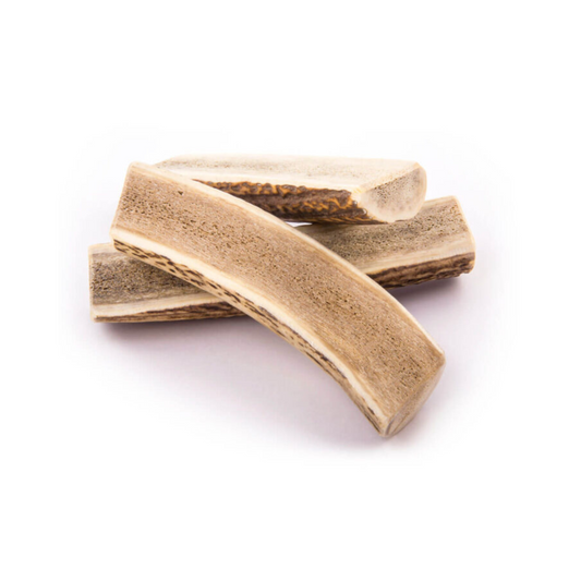 HALF RED DEER ANTLER DOG CHEWS