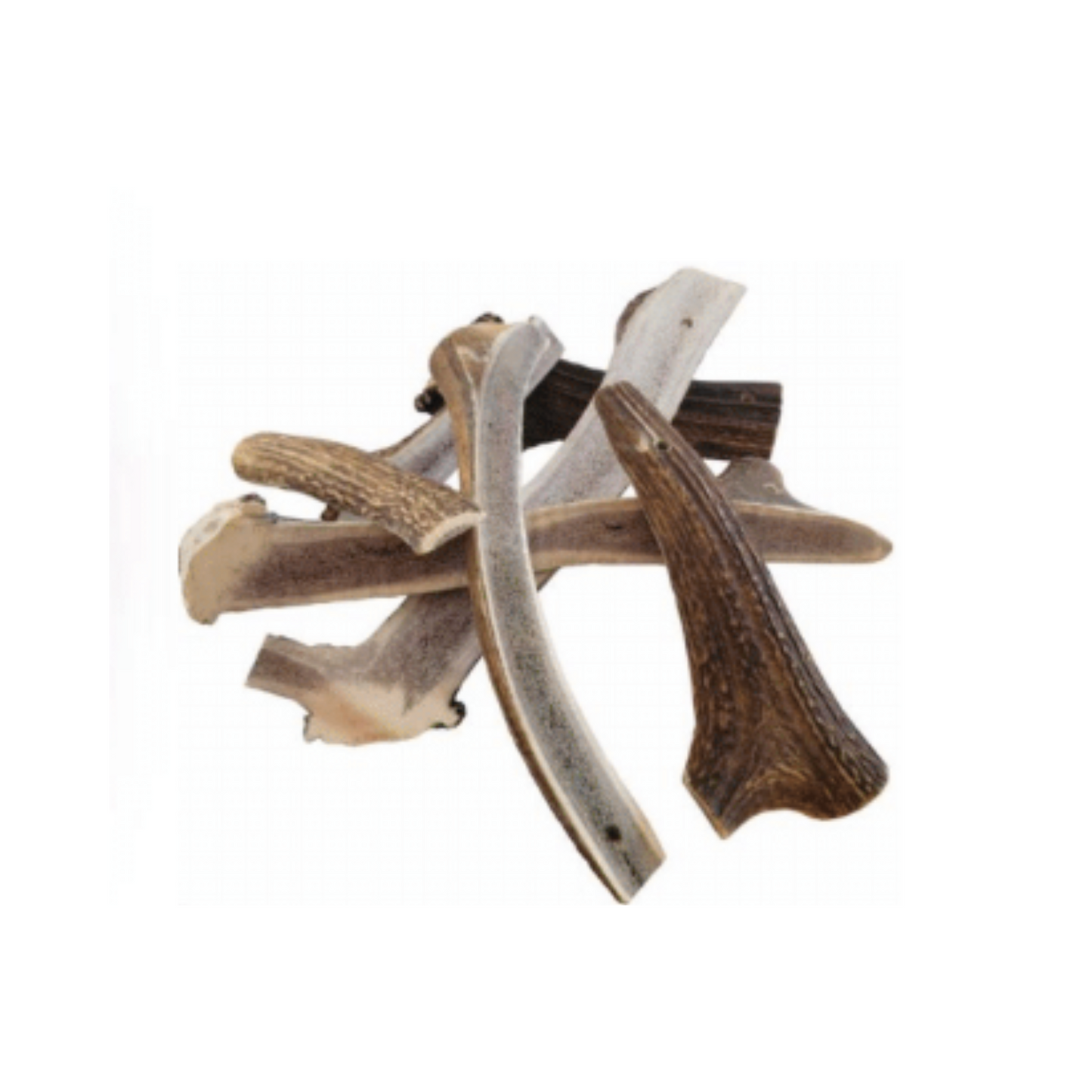 HALF RED DEER ANTLER DOG CHEWS