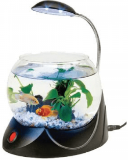 HAILEA MINI FISH BOWL LED