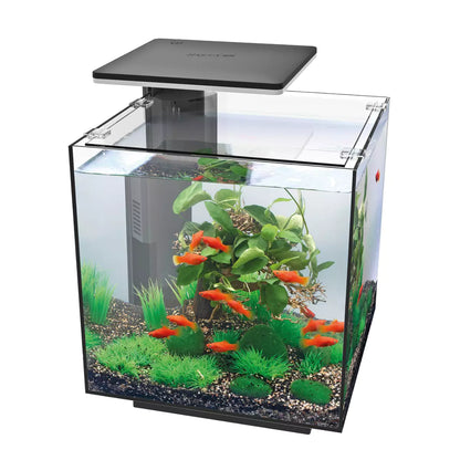 FASHION HOME AQUARIUM LED