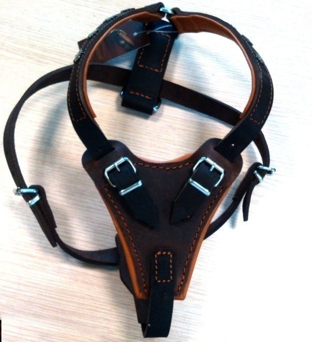 LEATHER HARNESS SPECIAL