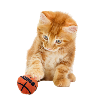 Cat Sport Balls 2-pk Assorted