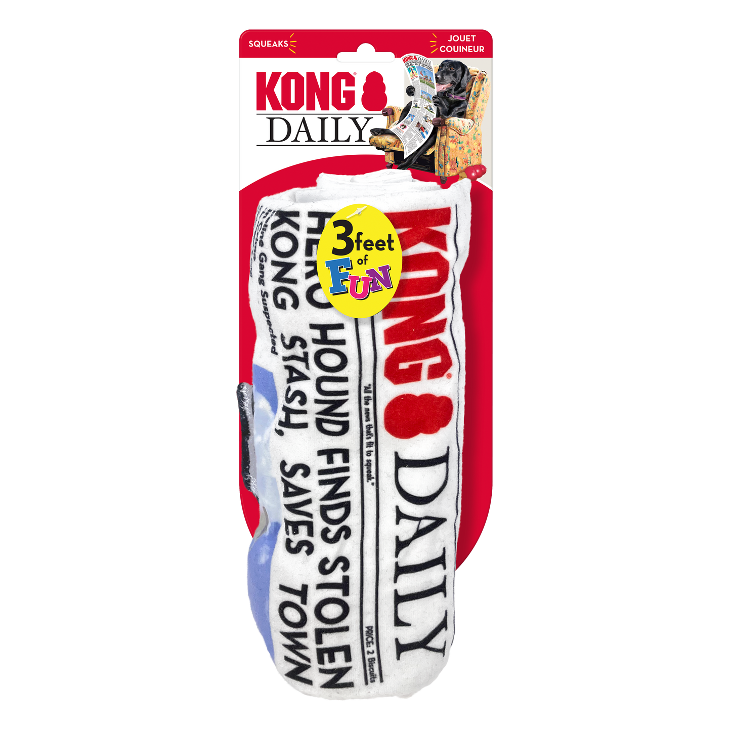 KONG DAILY