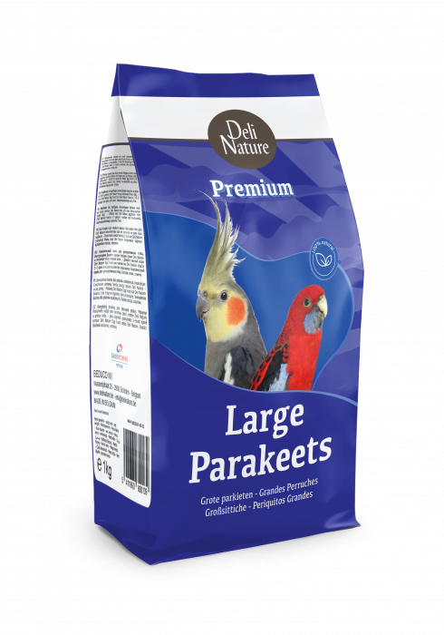 59- PREMIUM LARGE PARAKEET