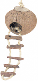 COCONUT GLOBEHOUSE WITH LADDER AND ROPE