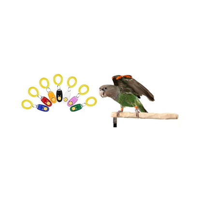 PARROT TRAINING CLICKER