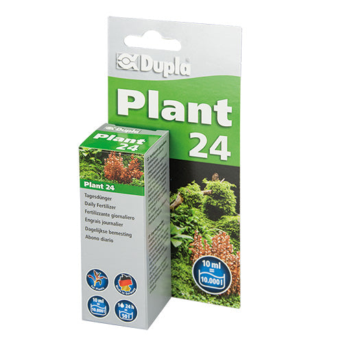 PLANT 24