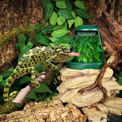 REPTILE DRINKING FOUNTAIN