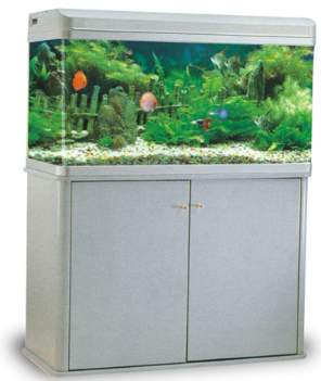 AQUARIUM RS WHITE