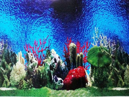 DOUBLE SIDED AQUARIUM  BACKGROUND