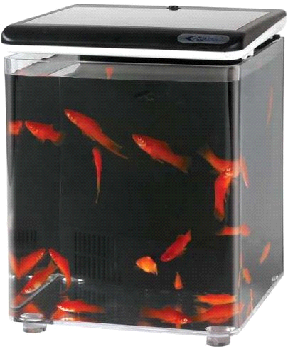 FISHOME AQUARIUM