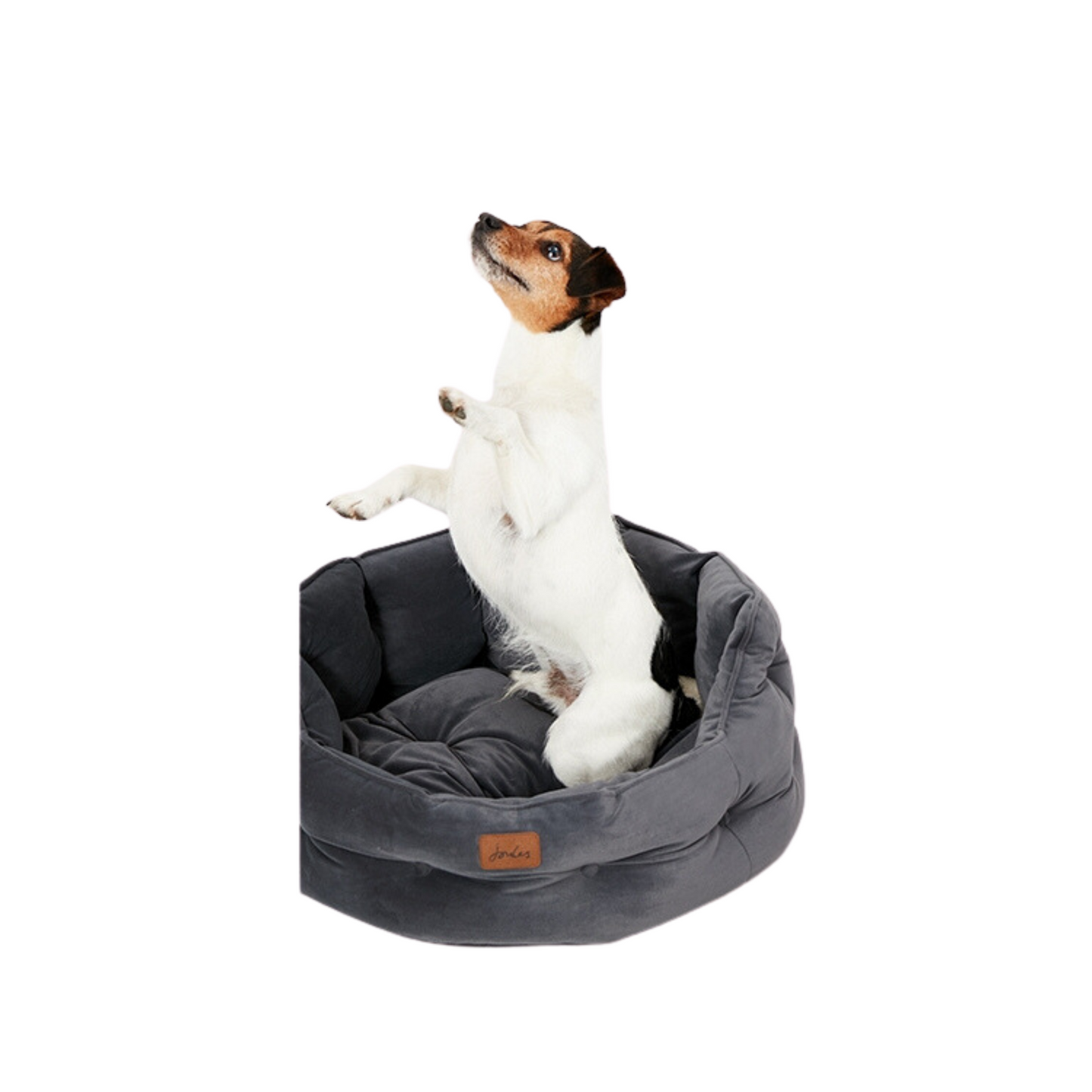 JOULES-CHESTERFIELD PET BED GREY SMALL