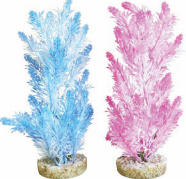 ICE COLOUR PLANT