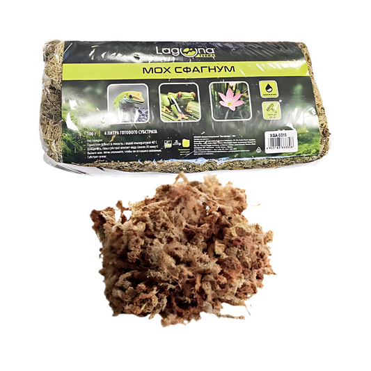 SPHAGNUM MOSS 100G