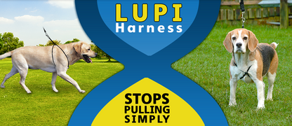 LUPI HARNESS