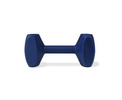 COACHI TRAINING DUMBBELL 10cm