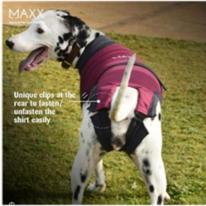 MAXX DOG RECOVERY PET SUIT