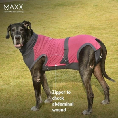MAXX DOG RECOVERY PET SUIT