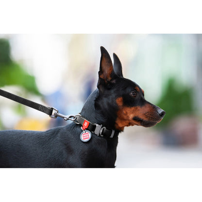 WAUDOG WATERPROOF DOG COLLAR