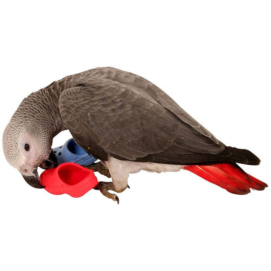 CRAZY FLIP-FLOP PARROT TOY