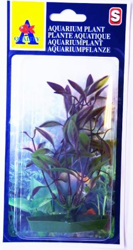 AQUARIUM PLANT ASSORTMENT