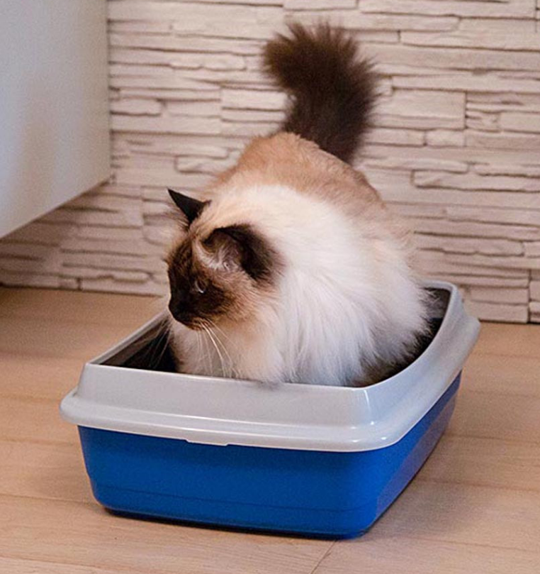 ARIEL 10 PLUS CATLITTER TRAY