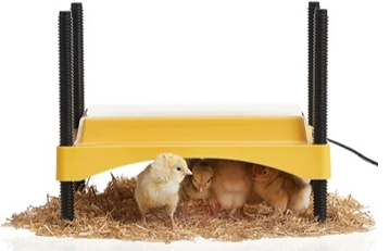 ECO-GLOW SAFETY CHICK BROODER