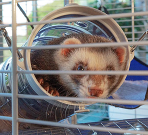 FURET TOWER